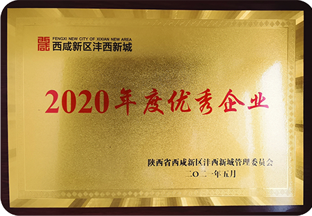 2020年度優(yōu)秀企業(yè)